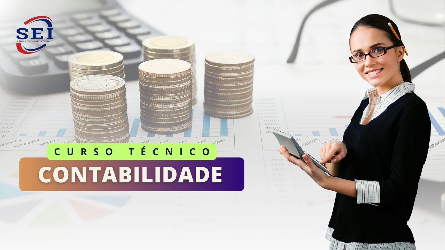 Leia mais sobre o artigo Técnico em Contabilidade